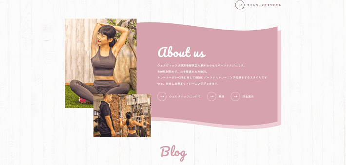 Welvitzのabout us