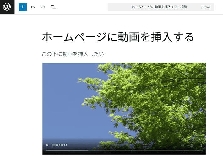 WordPress(動画アップロード完了)