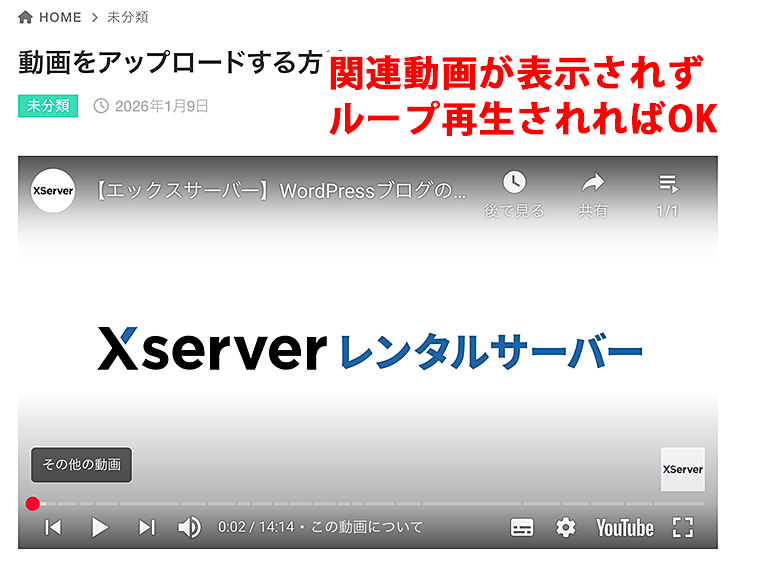 WordPressのプレビューで動画がループし関連動画が表示されないようになります