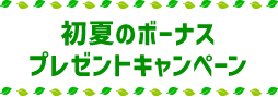 ƤΥܡʥץ쥼ȥڡ