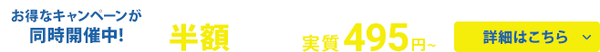 XServer󥿥륵С ȾۥåХå¼495ߡ