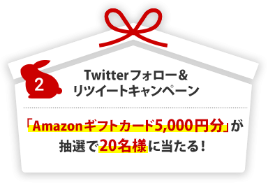 Twitterեĥȥڡ Amazonեȥ 5,000ʬ20̾ͤ롪