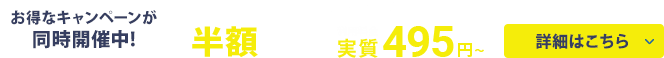 XServer󥿥륵С ȾۥåХå¼495ߡ