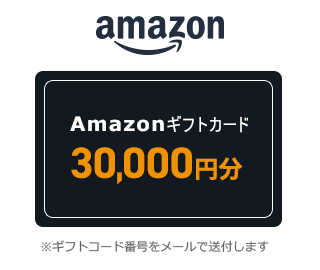 Amazon���եȥ�����(30,000��ʬ)