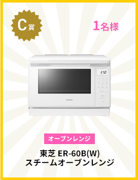 ��� ER-60B(W) �������४���֥���