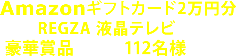 Amazon���եȥ�����2����ʬ��REGZA �վ��ƥ�Ӥʤɤι�ھ��ʤ�������112̾�ͤ������롪