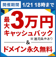 《最大30,000円キャッシュバック》キャッシュバック&ドメイン永久無料キャンペーン