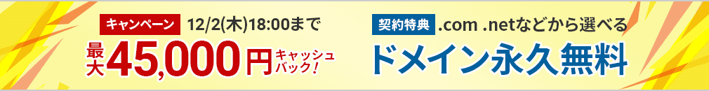 最大45,000円キャッシュバックキャンペーン!さらに契約特典でドメイン永久無料!