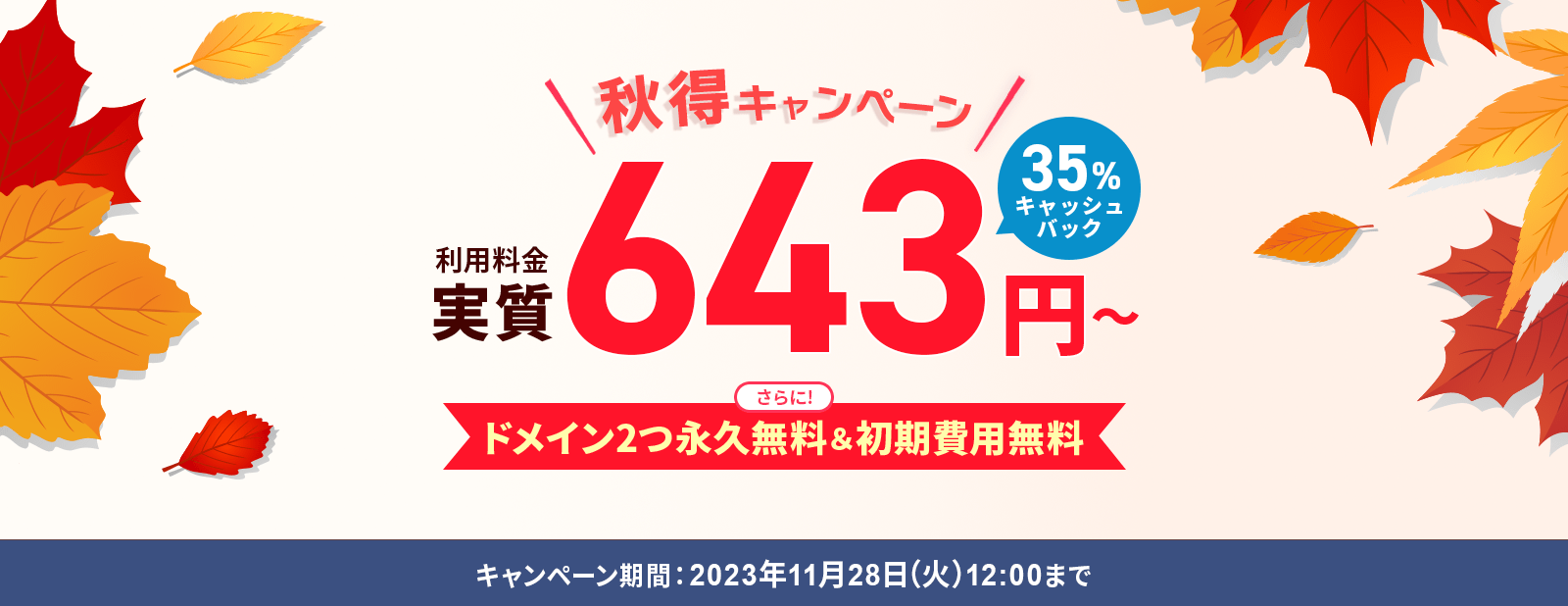 ڡ 35%åХå˥ɥᥤ2ıʵ̵&̵11/28()12:00ޤ
