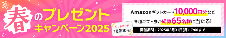 դΥץ쥼ȥڡ2025Amazonեȥ10,000ʬʤɳƼ葉եȷ65̾ͤ롪3/31()17:00ޤ