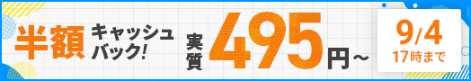ȾۥåХåڡ󡪰ŪϥڥåС¼495ߤȤ롪