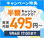 ȾۥåХåڡ󡪰ŪϥڥåС¼495ߤȤ롪