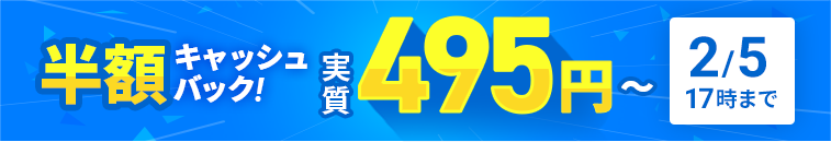 Ⱦ�ۥ���å���Хå������ڡ��󡪰���Ū�ϥ����ڥå������С����¼����495�ߤ���Ȥ��롪