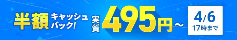 Ⱦ�ۥ���å���Хå������ڡ��󡪰���Ū�ϥ����ڥå������С����¼����495�ߤ���Ȥ��롪