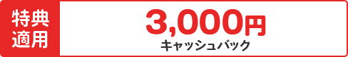 紹介された人