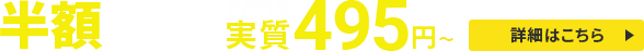 半額キャッシュバックキャンペーン！圧倒的ハイスペックサーバーが実質月額495円から使える！