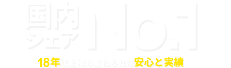 ���⥷����No.1