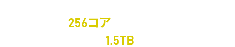 StorageNVMe RAID 10 vCPU256 Memory1TB1.5TB