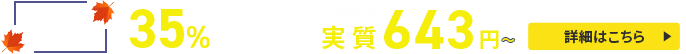 利用料金最大30%OFFキャンペーン！圧倒的ハイスペックサーバーが月額693円から使える！ ＼6/9（金）12:00まで　詳細はこちら