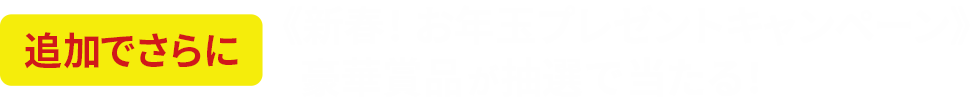 追加でさらに《新春！お年玉プレゼントキャンペーン》豪華賞品が抽選で当たる！